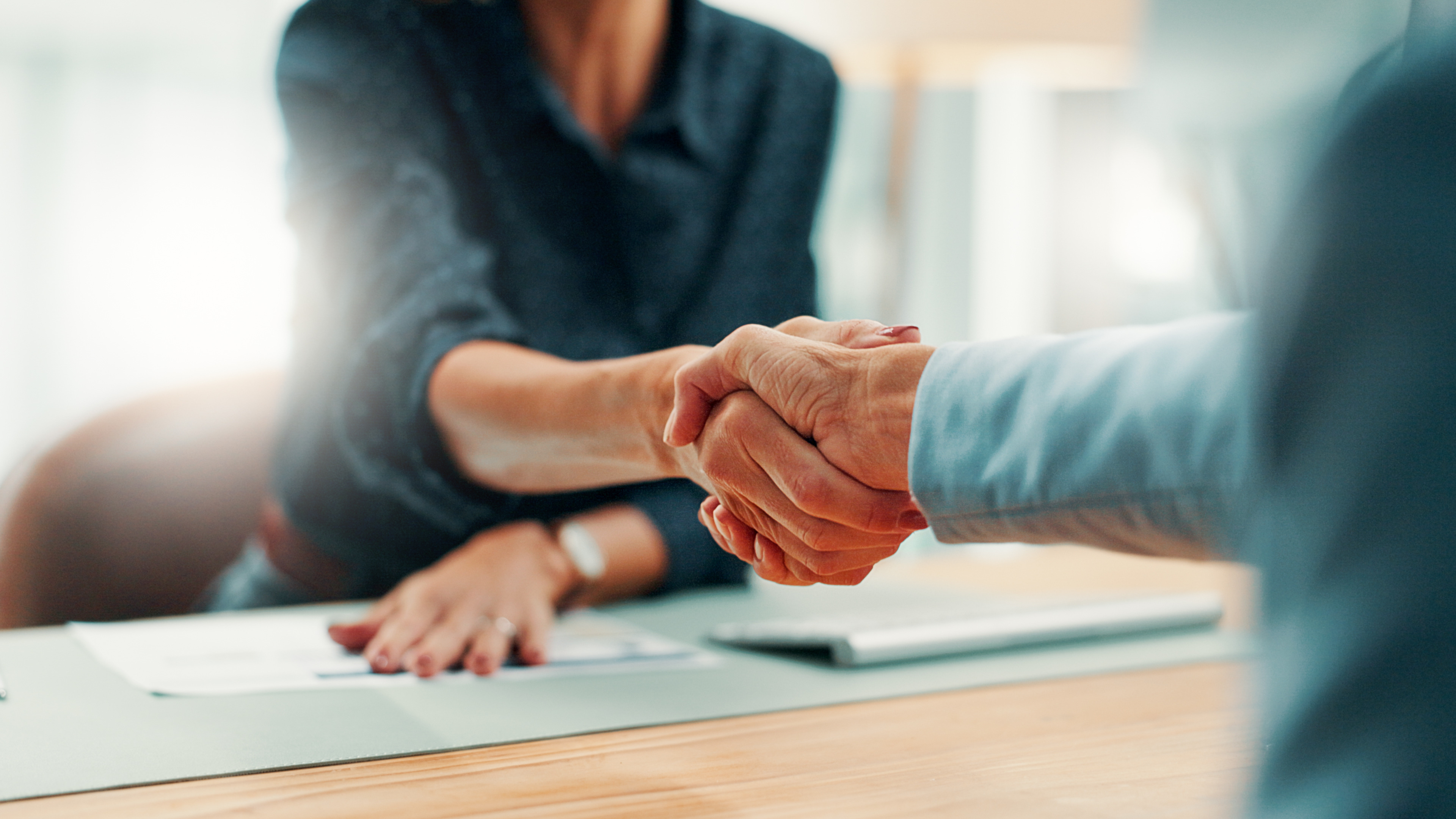 Professionals shaking hands